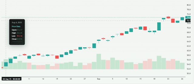 Meyka AI: VenEck Gold Miners price overview 