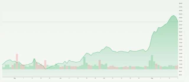 RDDT Stock