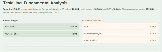 Meyka AI: Tesla's Fundamentals Overview