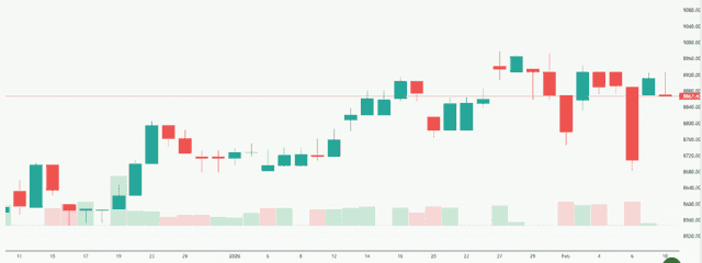 Meyka AI: S&P/ASX 200 (^AXJO) Index Overview, February 11, 2026