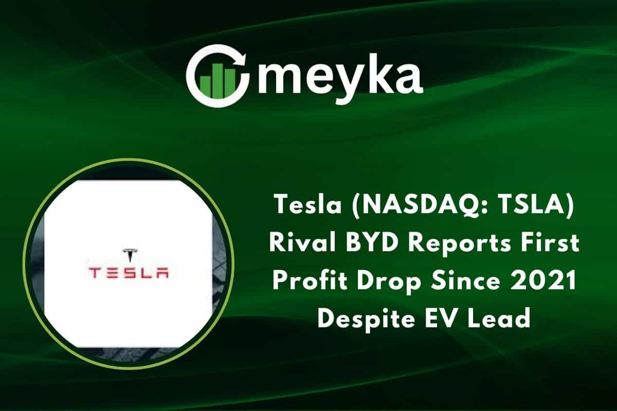 Tesla (NASDAQ: TSLA) Rival BYD Reports First Profit Drop Since 2021 Despite EV Lead