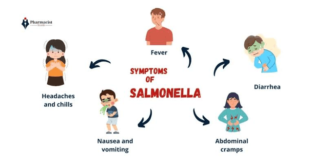 Expert Pharma & Academic Writing Service Source: Salmonella Symptoms Detail Overview