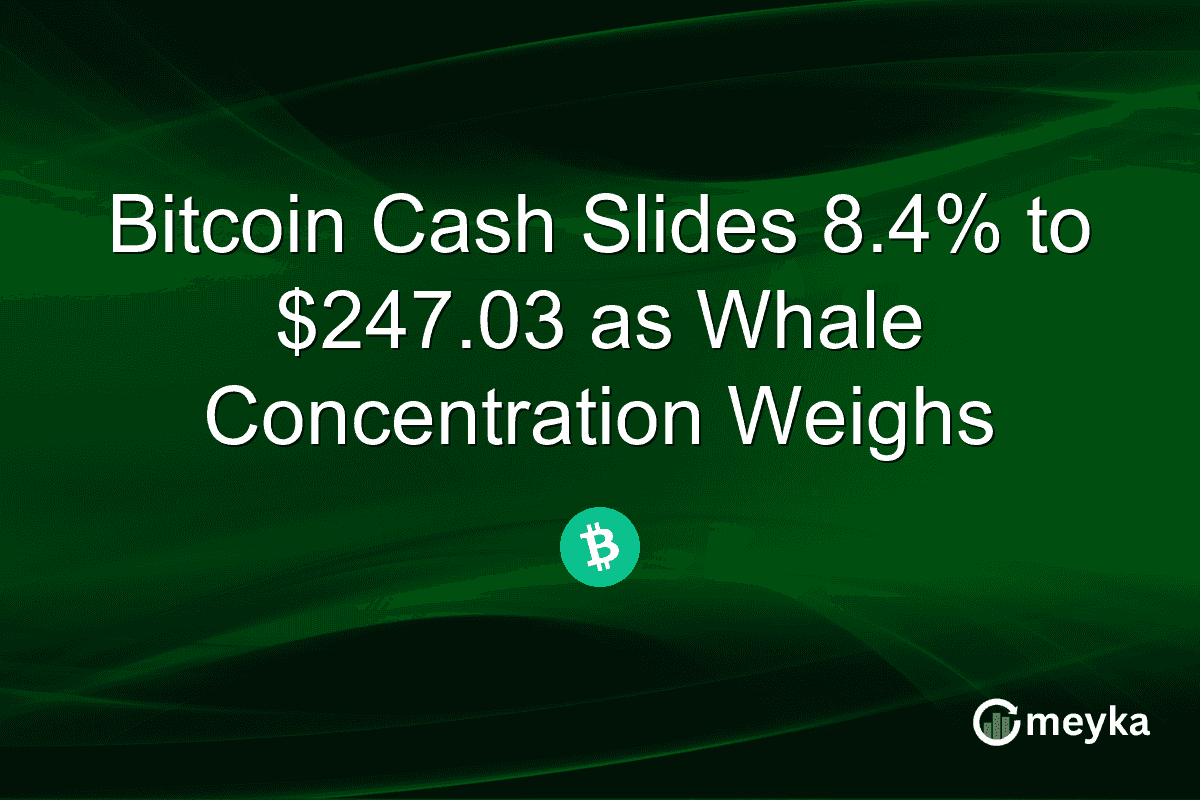 Bitcoin Cash Slides 8.4% to $247.03 as Whale Concentration Weighs