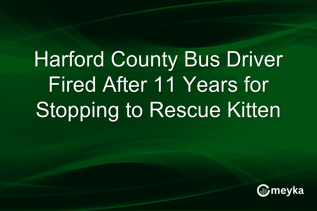 Harford County Bus Driver Fired After 11 Years for Stopping to Rescue Kitten